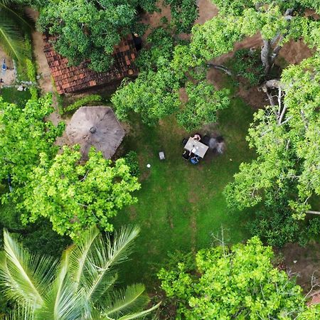 Eco Village Kalundewa 담불라 외부 사진