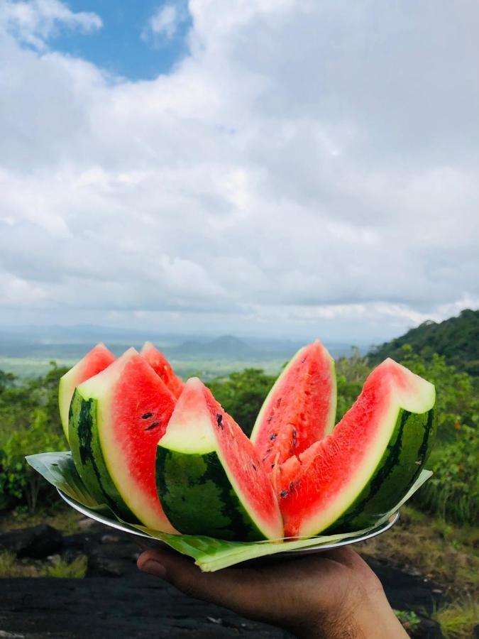 Eco Village Kalundewa 담불라 외부 사진