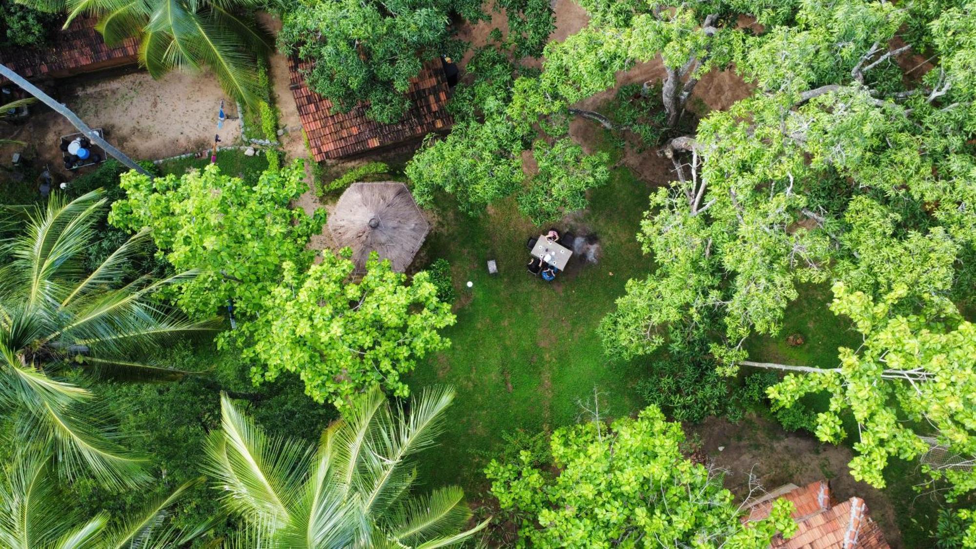 Eco Village Kalundewa 담불라 외부 사진