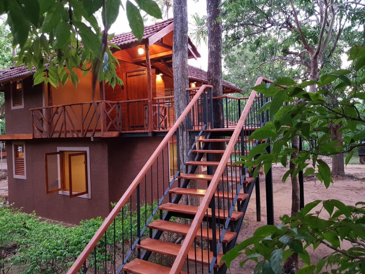 Eco Village Kalundewa 담불라 외부 사진