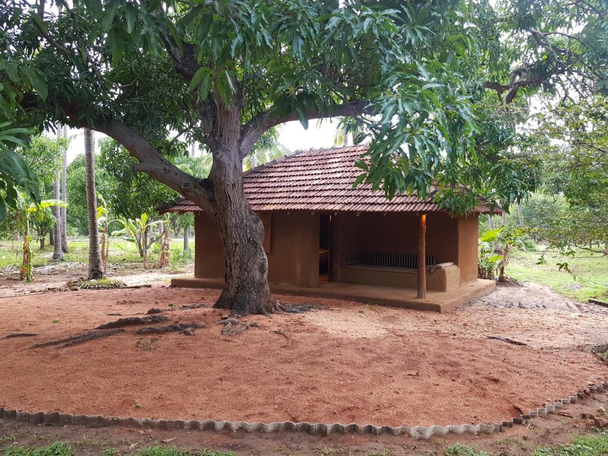 Eco Village Kalundewa 담불라 외부 사진
