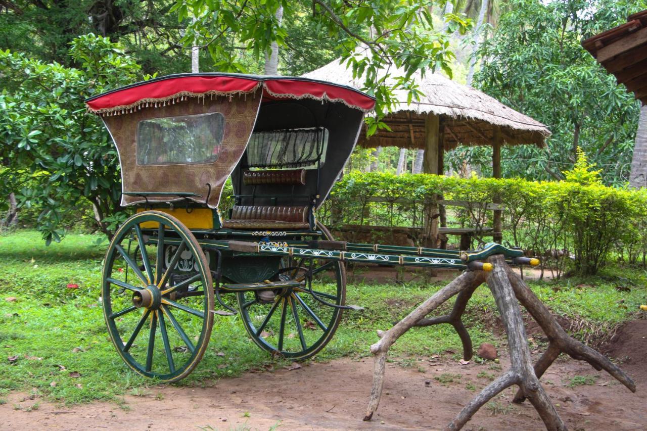 Eco Village Kalundewa 담불라 외부 사진
