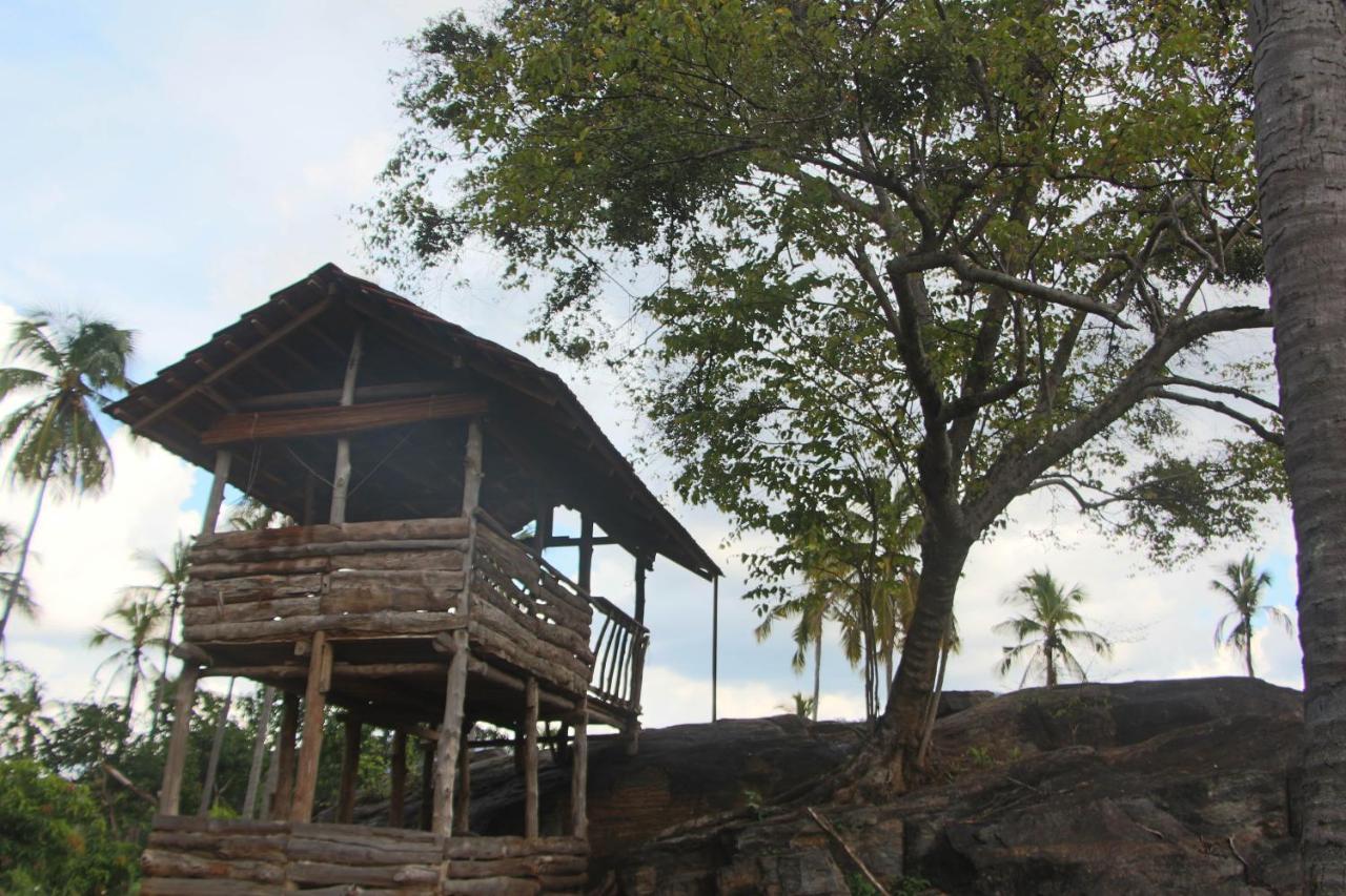 Eco Village Kalundewa 담불라 외부 사진