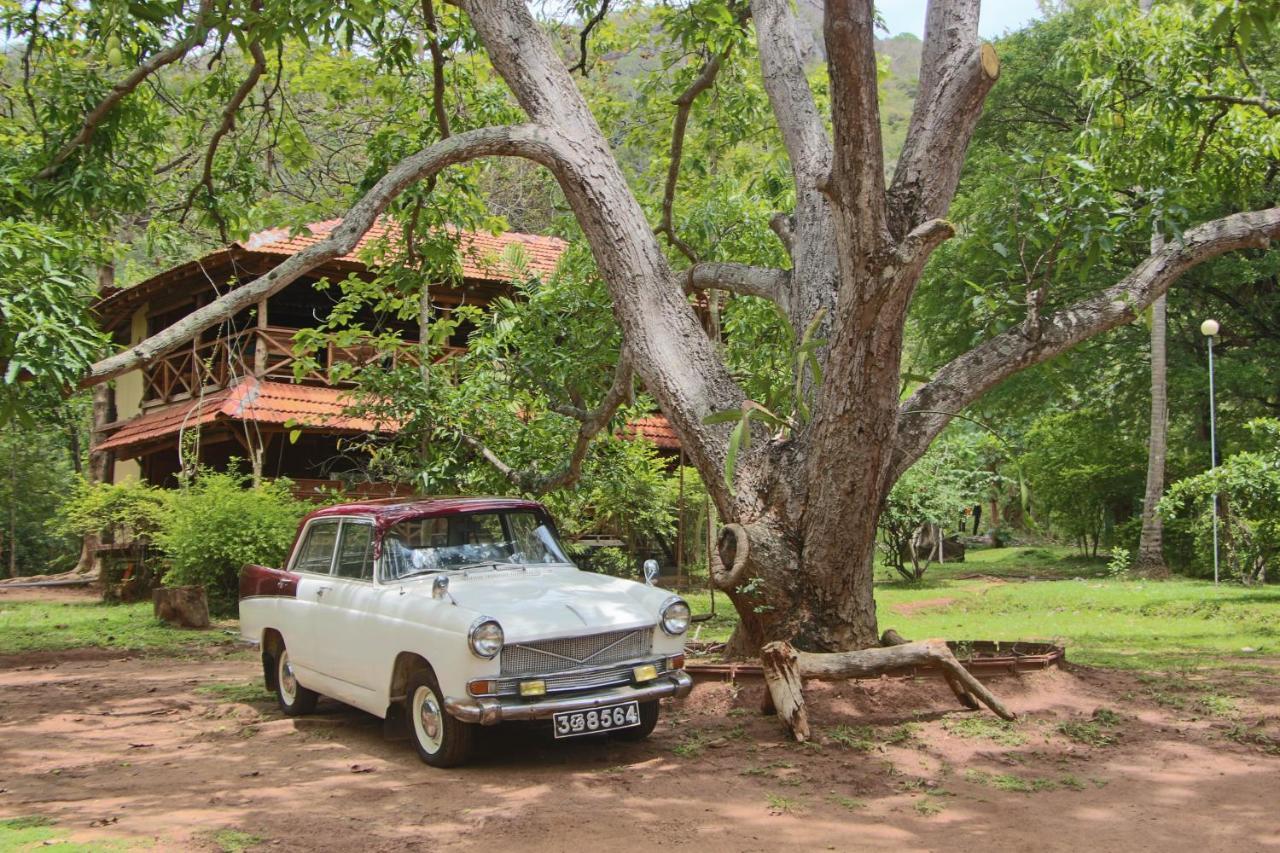 Eco Village Kalundewa 담불라 외부 사진
