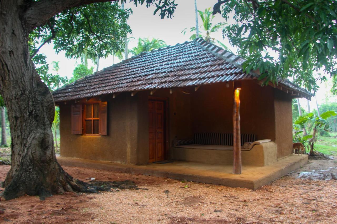 Eco Village Kalundewa 담불라 외부 사진
