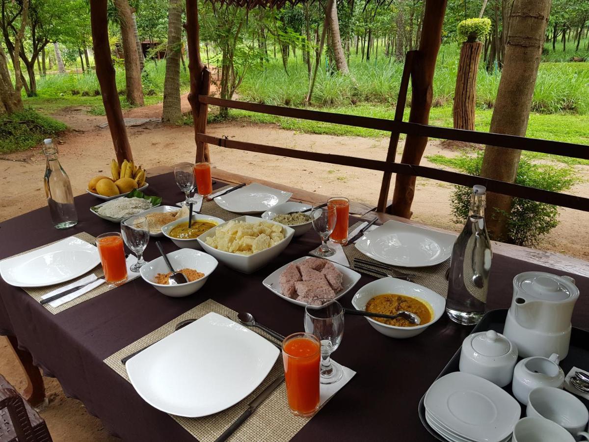 Eco Village Kalundewa 담불라 외부 사진